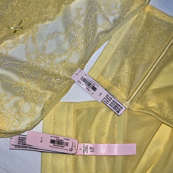 (L) 2pcs Victoria’s Secret Dream Angels set Corset & Cheeky Panty - Picture 4 of 17